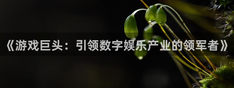 顺盈娱乐登录平台：《游戏巨头：引领数字娱乐产业的领军者》