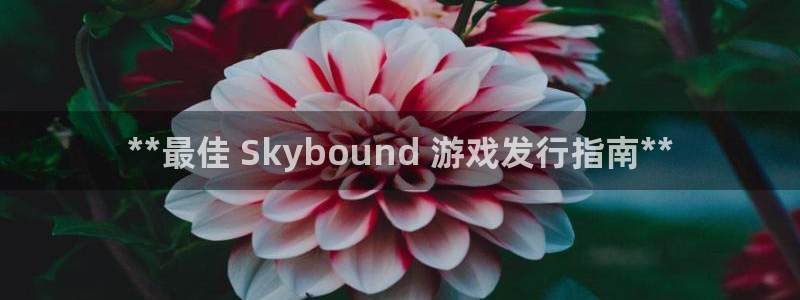 顺盈平台注册流程图：**最佳 Skybound 游戏发行指南**