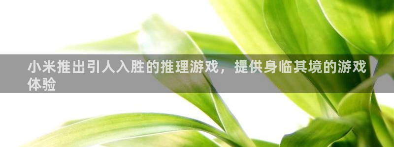 顺盈娱乐平台提现被关闭怎么回事啊安全吗：小米推出引人入胜的推理游戏，提供身临其境的游戏
体验