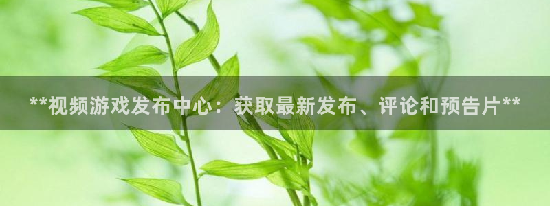 顺盈平台注册网址是多少：**视频游戏发布中心：获取最新发布、评论和预告片**